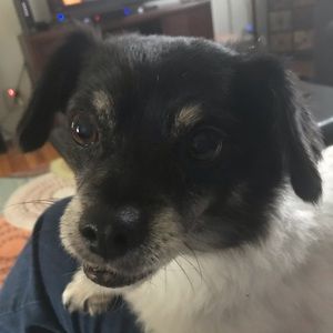 Meet your Posher, Suzanne